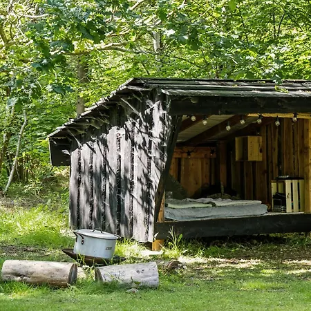 Semesterbostad Summer House With Large Nature Plot In